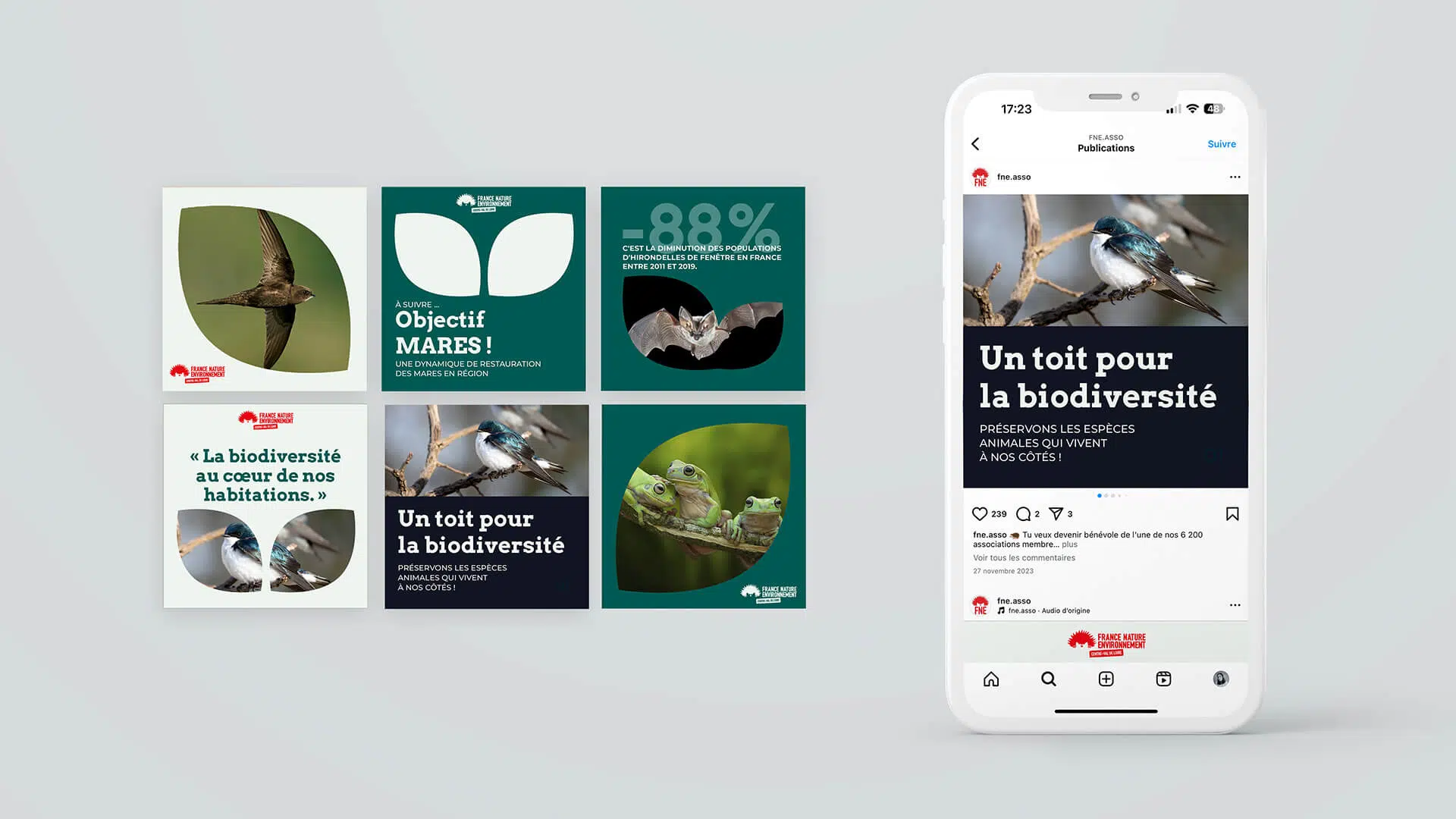 fne social media mockup 1