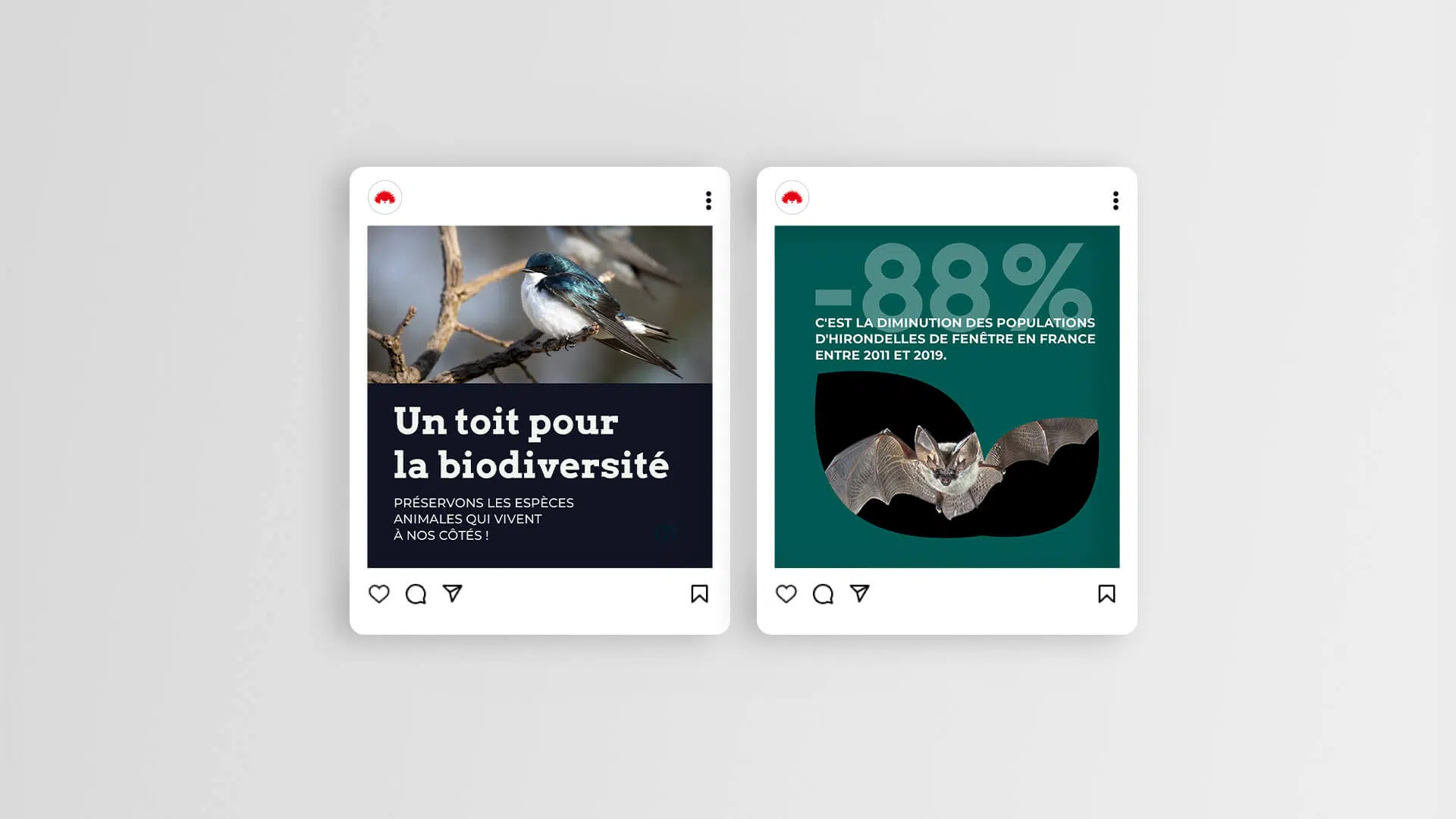 fne social media mockup 2